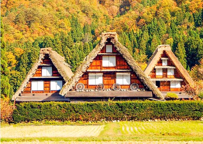 10 Days Japan Classic Tour with Central Japan: From Tokyo, Mt. Fuji, Kanazawa to Osaka