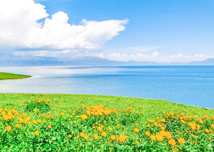 12 Days Xinjiang Group Tour: Amazing Northern Xinjiang in Small Group - 1