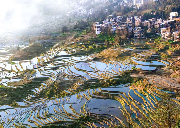 10 Days Yunnan Photography Tour (Dongchuan Red Land Kunming Dali Lijiang Shangri-La)