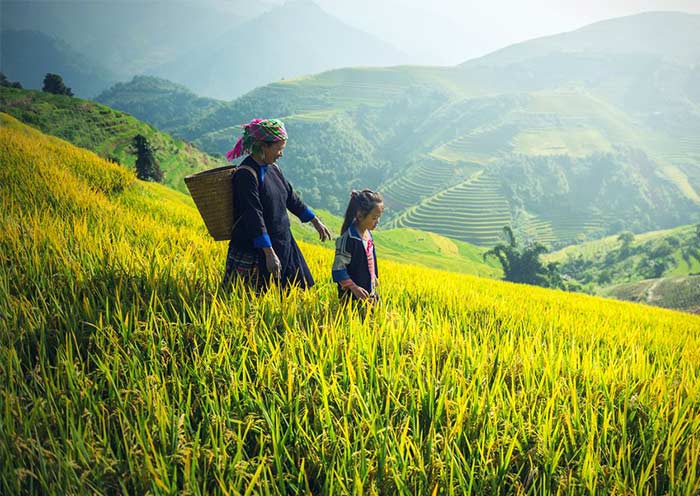 5 Days Sapa Hill Tribe Trekking - 2
