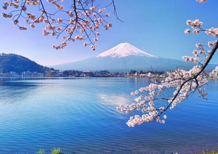 8 Days South Korea Food & Culture - 3