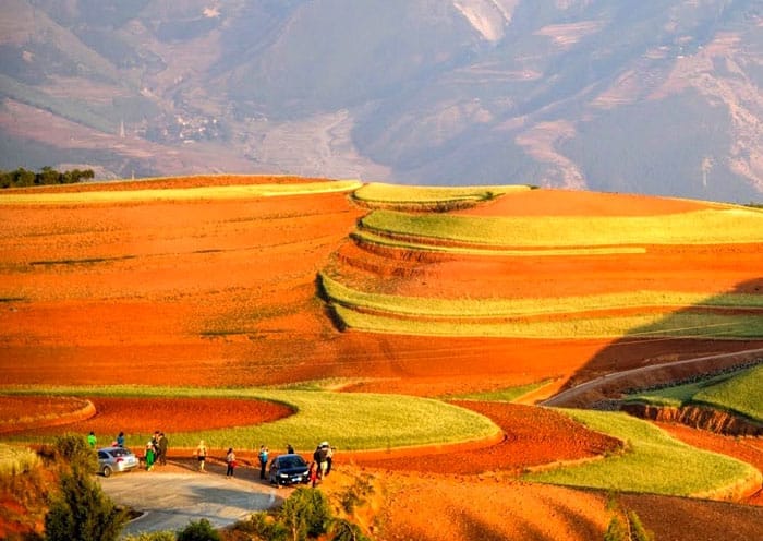 5 Days Kunming Shangri-La Tour by High Speed Train