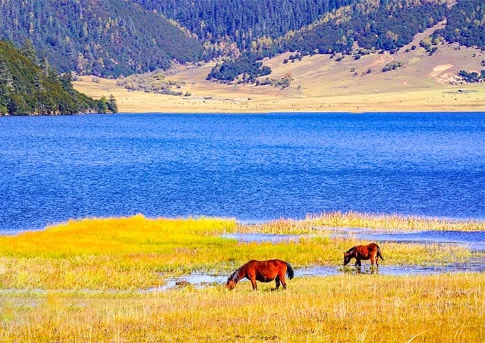 Kunming to Xishuangbanna Tour, 5 Days South Yunnan Tour