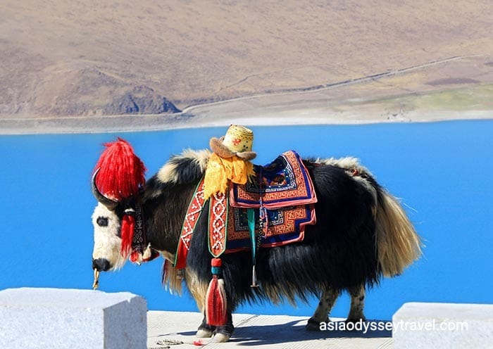 17 Days China Tour to Beijing Xian Tibet Chengdu Yangtze Shanghai