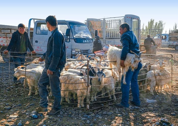7 Days Classic Xinjiang Tour: Urumqi Tianchi Turpan Kashgar