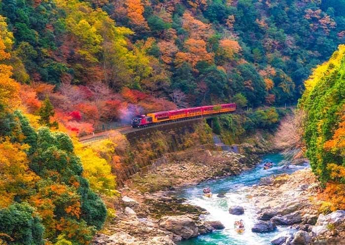 8 Days Japan Autumn Leaves Tour: Golden Route from Osaka to Tokyo - 4