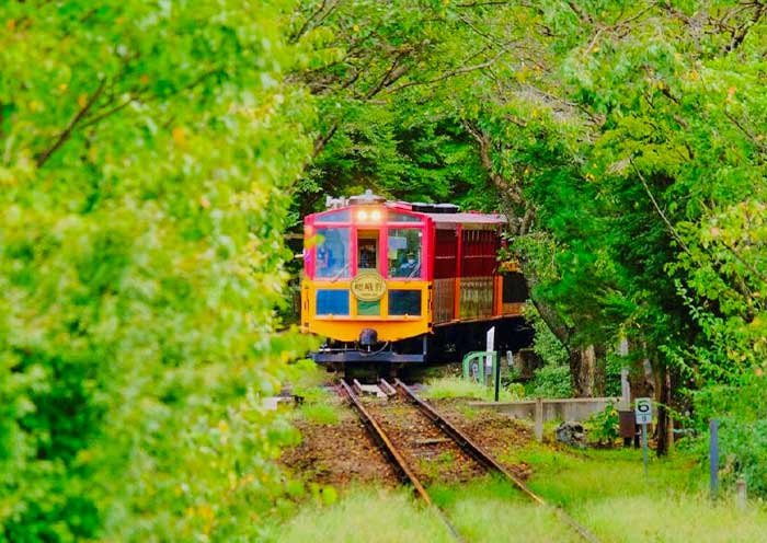 10 Days Japan Tour: New Golden Route with Hiroshima & Uji (Osaka to Tokyo) - 3