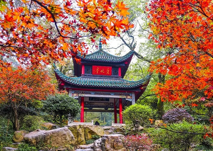 8 Days Hunan Highlight Tour: Vivid Changsha, Zhangjiajie, Furong & Fenghuang Town - 4