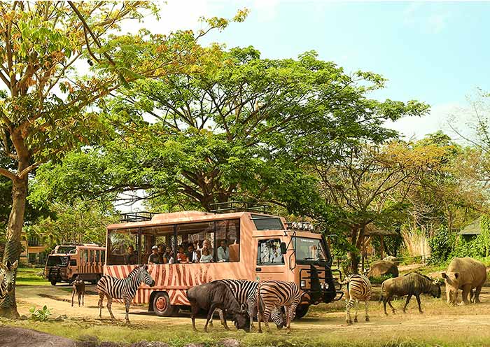 7 Days Bali Family Tour: Wildlife, Waterparks, Culture & Island Fun