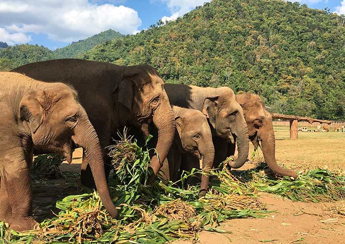 12 Days Malaysia Thailand Tour: Kuala Lumpur to Phuket Island Holiday