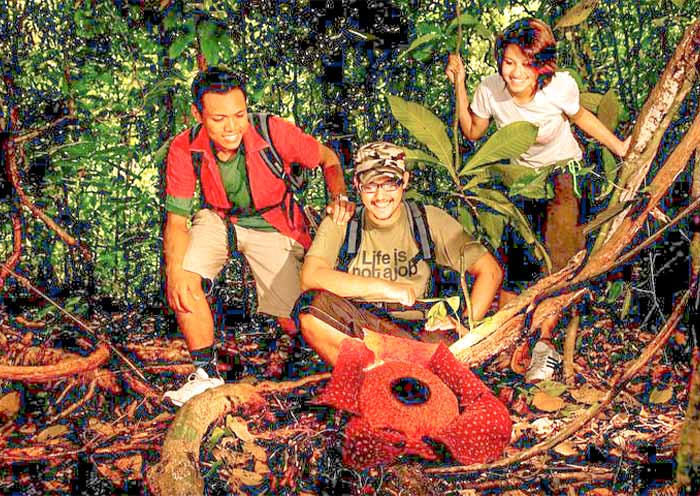 10 Days West Malaysia Tour | Nature & Culture Highlights in Peninsular Malaysia