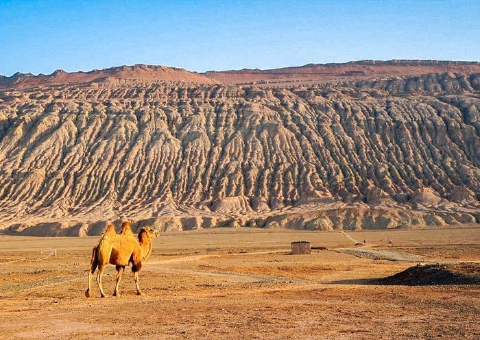5 Days Urumqi Turpan Tour: A Glimpse into Xinjiang - 4
