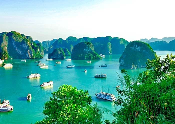 8 Days Classic Vietnam Tour (Hanoi, Halong Bay, Hoi An & Mekong Delta)