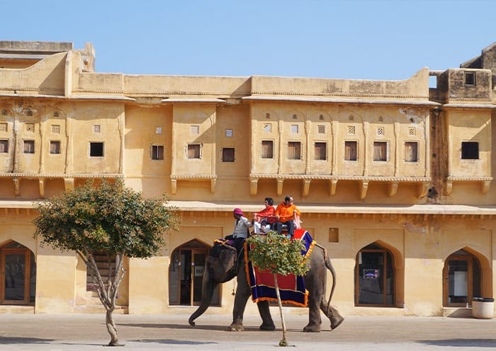 7 Days India Golden Triangle Group Tour: Delhi Agra Jaipur - Classic Route - 4