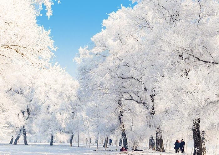 8 Days Northeast China Panorama Tour: Jilin, Changbaishan, Yanji, Snow Town & Harbin - 2
