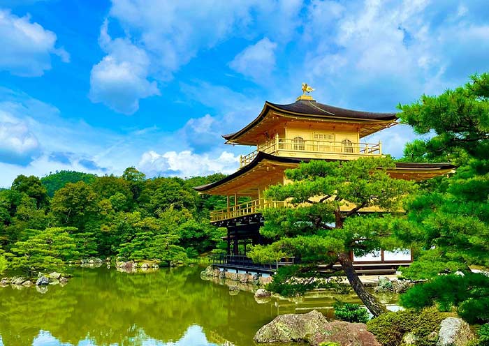 Experience the Magic of Japan