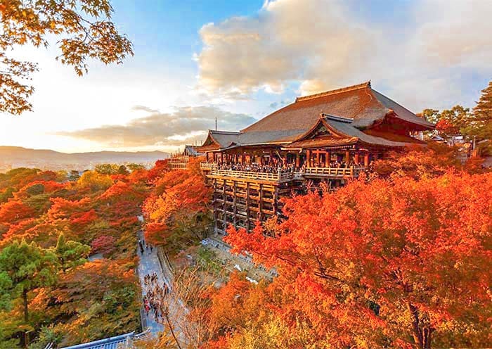 8 Days Japan Autumn Leaves Tour: Golden Route from Osaka to Tokyo