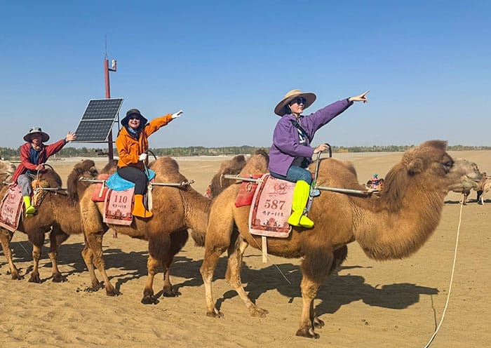 7 Days Silk Road Group Tour: Gansu & Qinghai (Ancient Silk Road Hub & Qinghai Lake) - 4