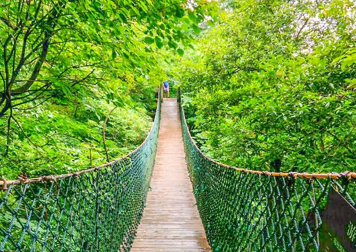1 Day Moga sha  Tour  from Ha gzhou: Moga sha  Villas & Bamboo Fo est - 3