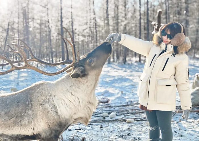 6 Days Harbin Mohe Tour: Ice Festival & Mohe Arctic Village - 2