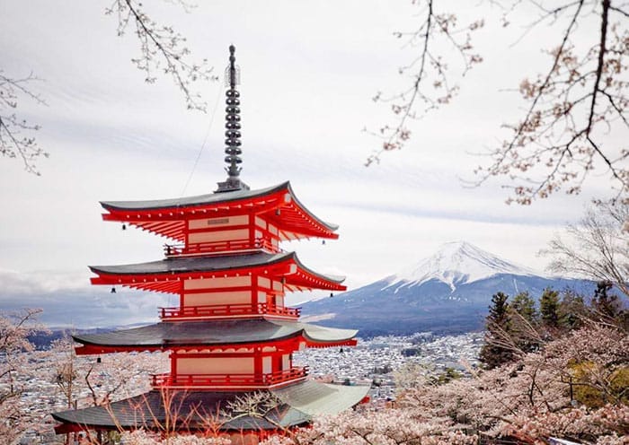 5 Days Mount Fuji Private Tour from Tokyo for First-Timers