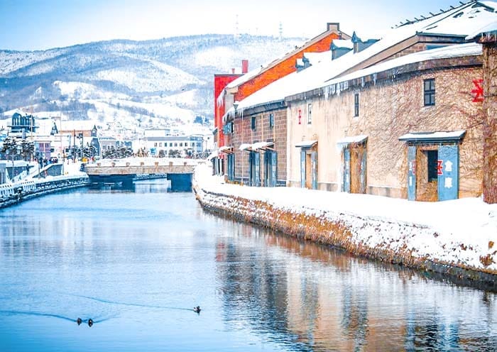 7 Days Hokkaido Winter Tour: Skiing, Onsen, Volcano & Snow Festival - 3