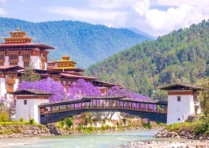 8 Days Bhutan Group Tour with Phobjikha Valley (Nature & Birding) - 4