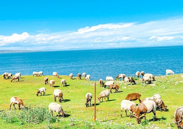 7 Days Qinghai Gansu Classic Tour: Nature & Legendary Silk Road Legacies - 4