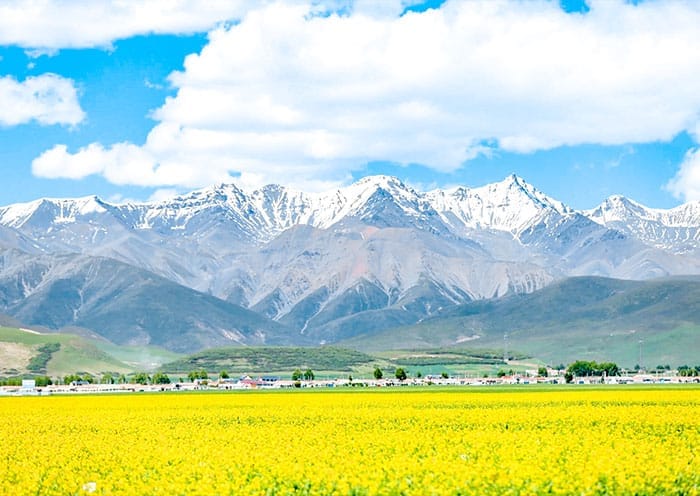 8 Days Dunhuang Jiayuguan Zhangye Xining & Qinghai Lake Tour