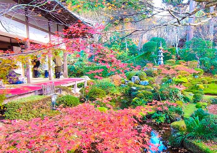 14 Days Japan Panoramic Tour for First-Time Visitors - 3