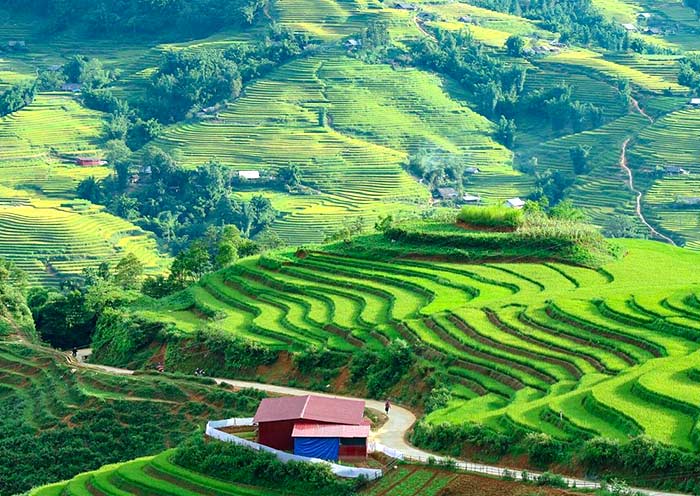 7 Days Northern Vietnam Tour: Nature, Ethnic Culture, Hiking & Cruise
