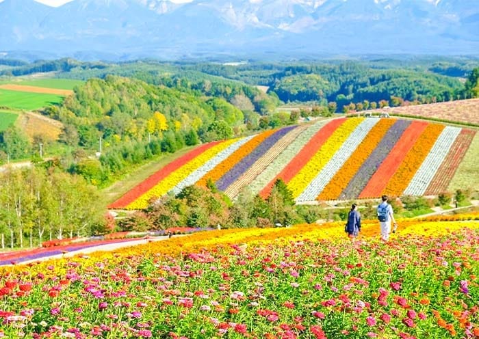 8 Days Hokkaido Summer Tour: Colorful Family Vacation on Hokkaido Island - 2