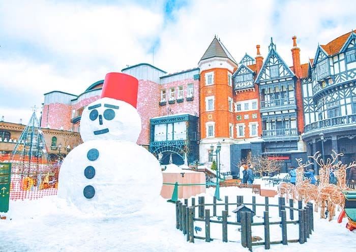 7 Days Hokkaido Winter Tour: Skiing, Onsen, Volcano & Snow Festival - 2