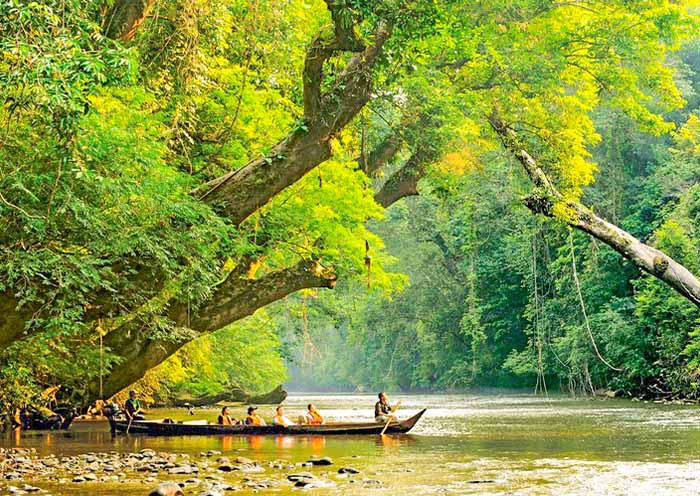 10 Days West Malaysia Tour | Nature & Culture Highlights in Peninsular Malaysia - 2