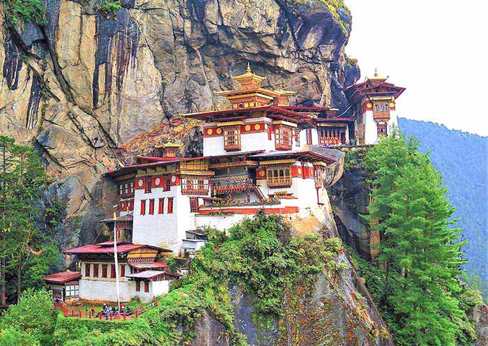 8 Days Bhutan Group Tour with Phobjikha Valley (Nature & Birding) - 3
