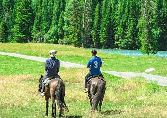 7 Days Northern Xinjiang Essential Tour: from Heavenly Lake to Kanas Lake - 2
