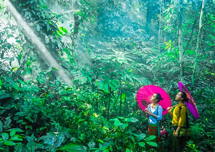 5 Days South Yunnan Tour: Kunming to Xishuangbanna by High Speed Train - 2